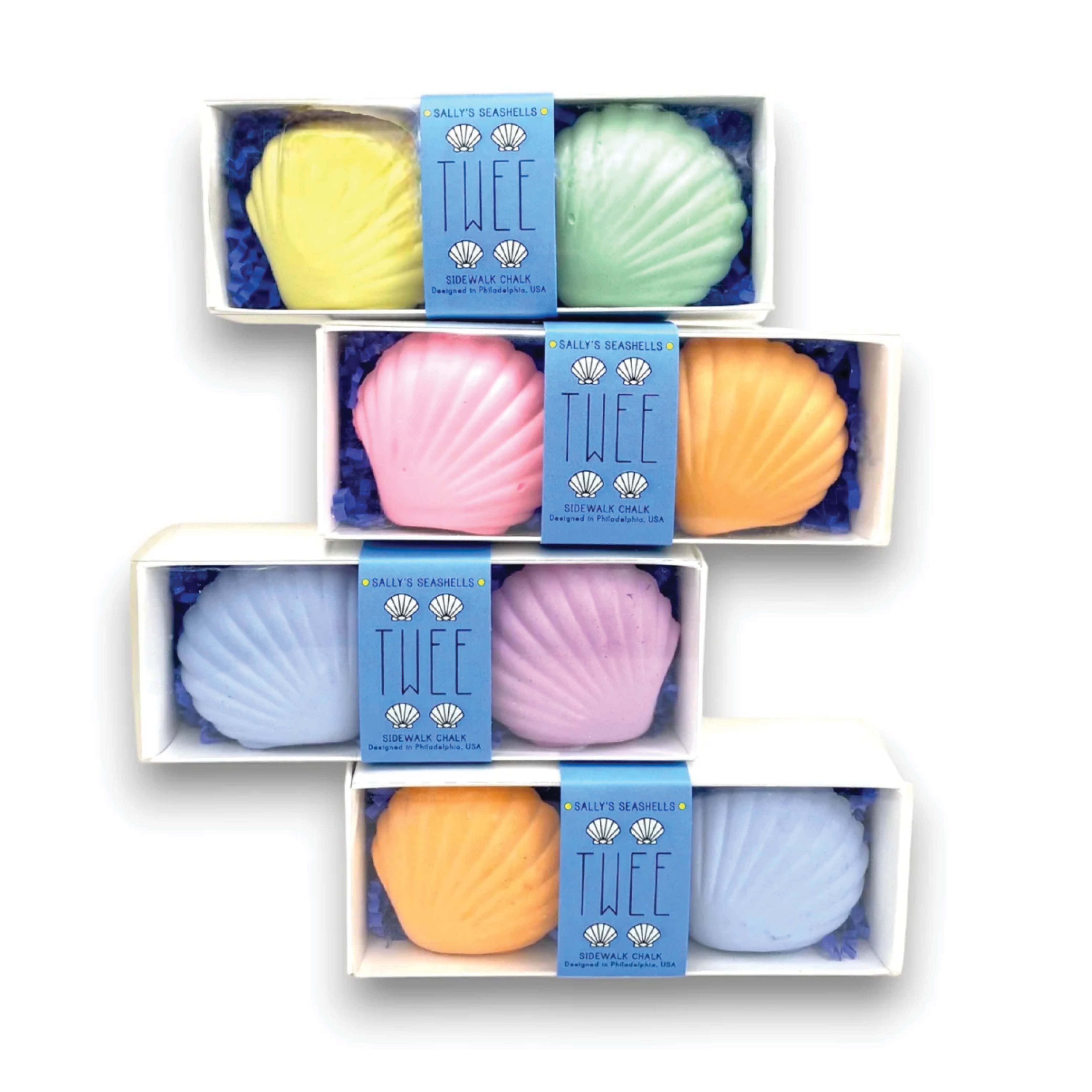 sea-shell-chalk-kids-anchored-