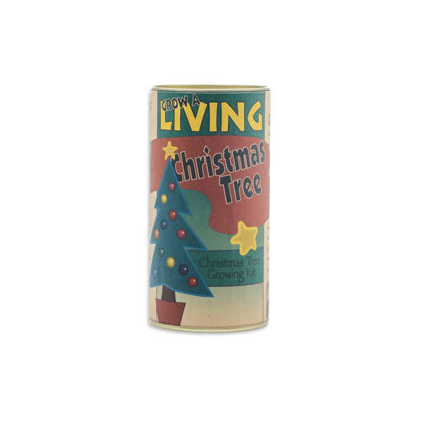 Living Christmas Tree Grow Kit: Colorado Blue Spruce