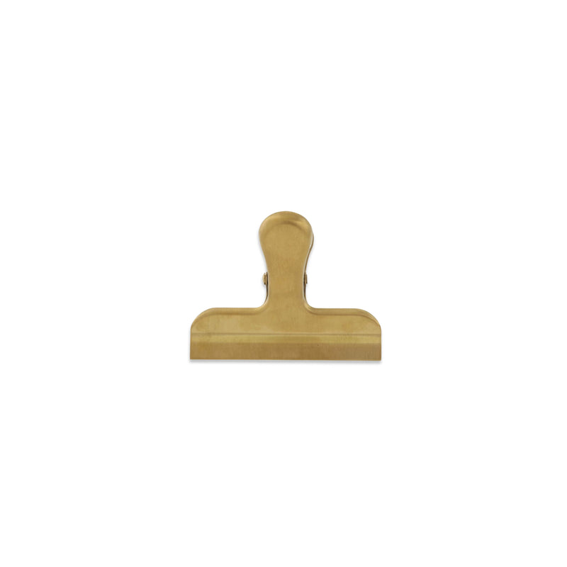 Gold Stainless Steel Clip